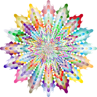 Ornamental Solid Frame Vortex