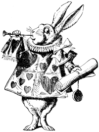 Rabbit
