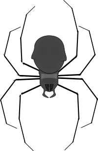 spider