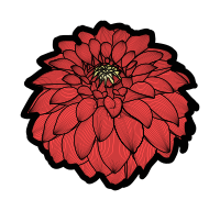 Dahlia - Colour Remix