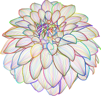Polyprismatic Dahlia 2 No Silhouette