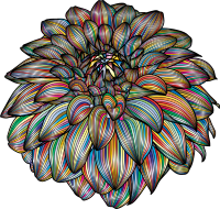 Dahlia Mark II Prismatic