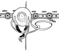 Southwest Native American Shield