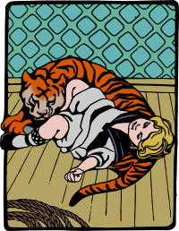Sleeping with a Tiger - Colour Remix