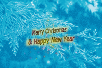 Merry Christmas & Happy New Year