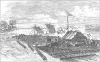 Broadhorn