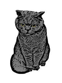 Big Eye Cat - Colour Remix