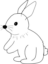 Cute rabbit