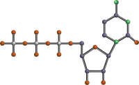 CTP