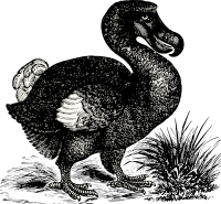 Raphus cucullatus