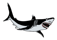 The Great White Shark - Colour Remix