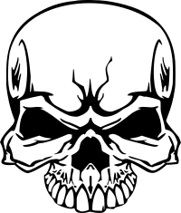 Skull without bones