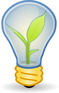 Light Bulb Plant