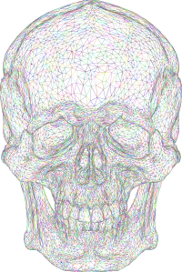3D Skull Face Wireframe Colorful