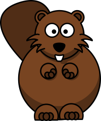 Beaver v2