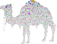 Vintage Camel Line Art 2 Silhouette Circles Colorful