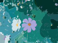 Cosmos
