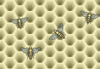 Beehive and Bees
