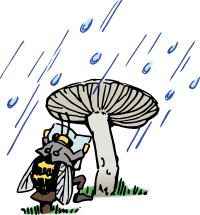 Bee in the Rain - Colour Remix