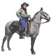 Royal Cowboy