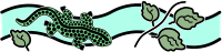 Ornament Lizard - Colour Remix