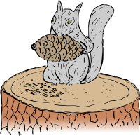 Squirrel Eating Pine Cone
