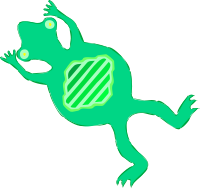 Architetto rana Frog