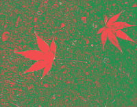 Two Autumn Leaves