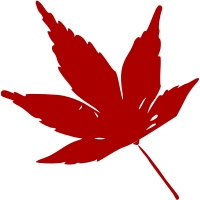 Isolated Autumn Leaf