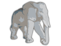 Elephant - Isolated