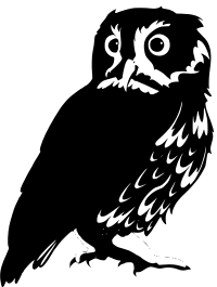 owl
