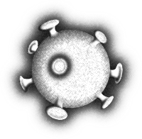 Virus