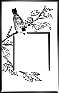 Bird Frame