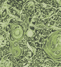 Green Slime