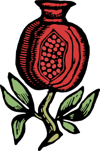 Pomegranate - Color Remix