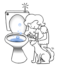 Smart Toilet