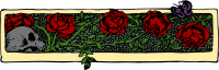 Flower Doodah Divider 4 - Colour Remix