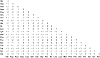BLOSUM62 matrix
