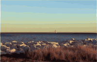 Ocean View