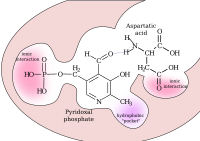 AST active site 2023