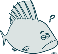 Simple Big Fish Cartoon