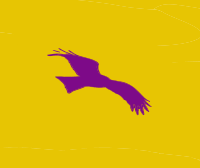 Bird Flag