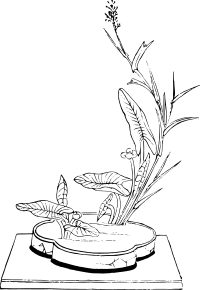 Ikebana 02