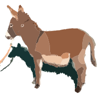 Donkey