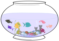Fishes in a Bowl