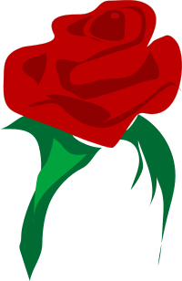 Architetto -- rosa 2