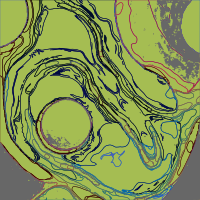 Strange Weird Slime