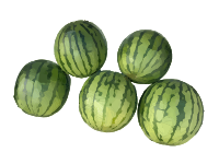 Five Watermelons