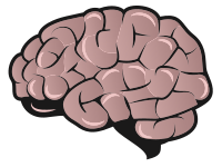 Brain - Colour Remix