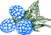 Blue Raspberry